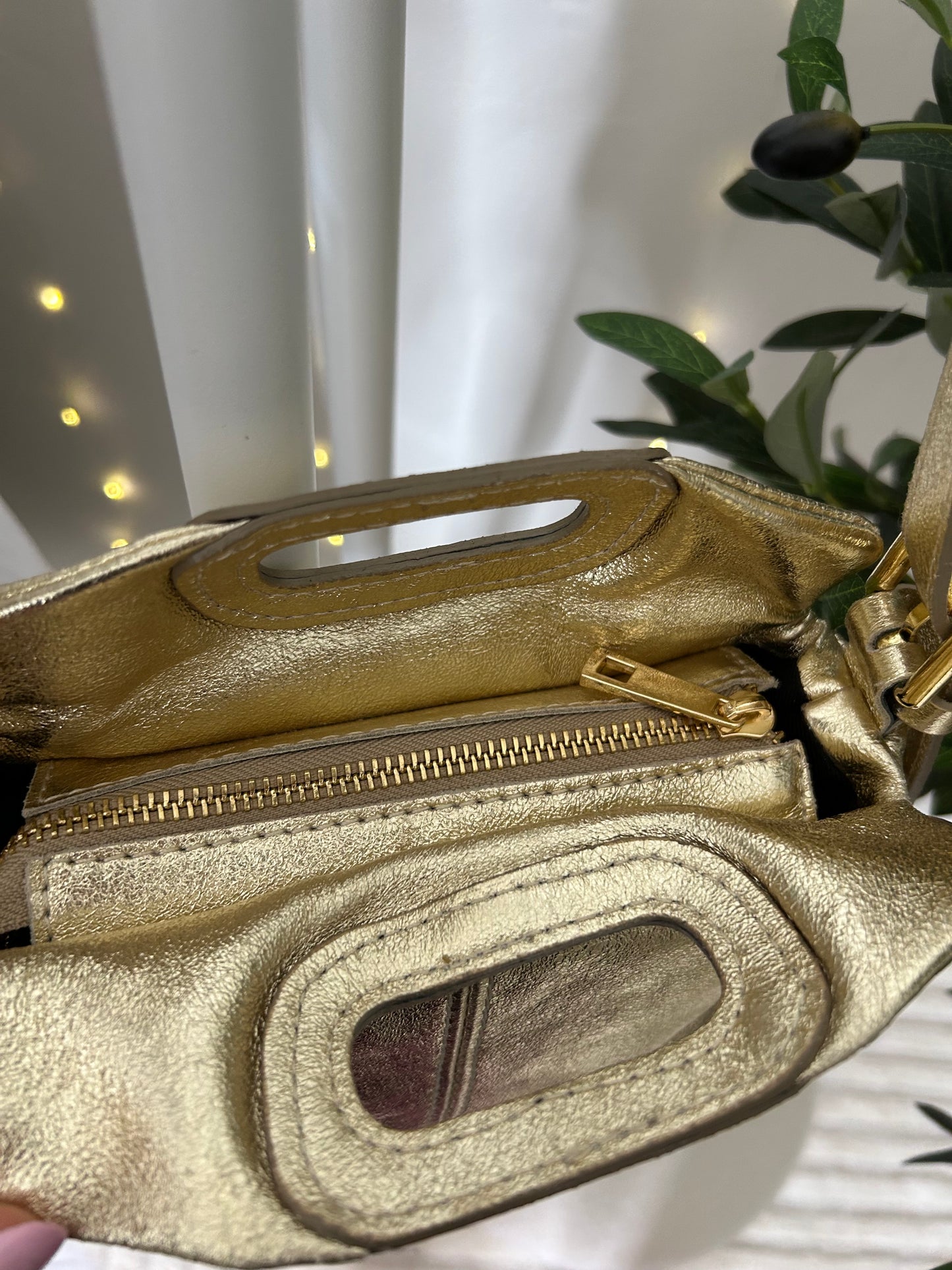 Sac Lili